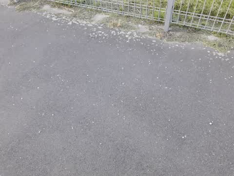 Roading/Streets, a report photo