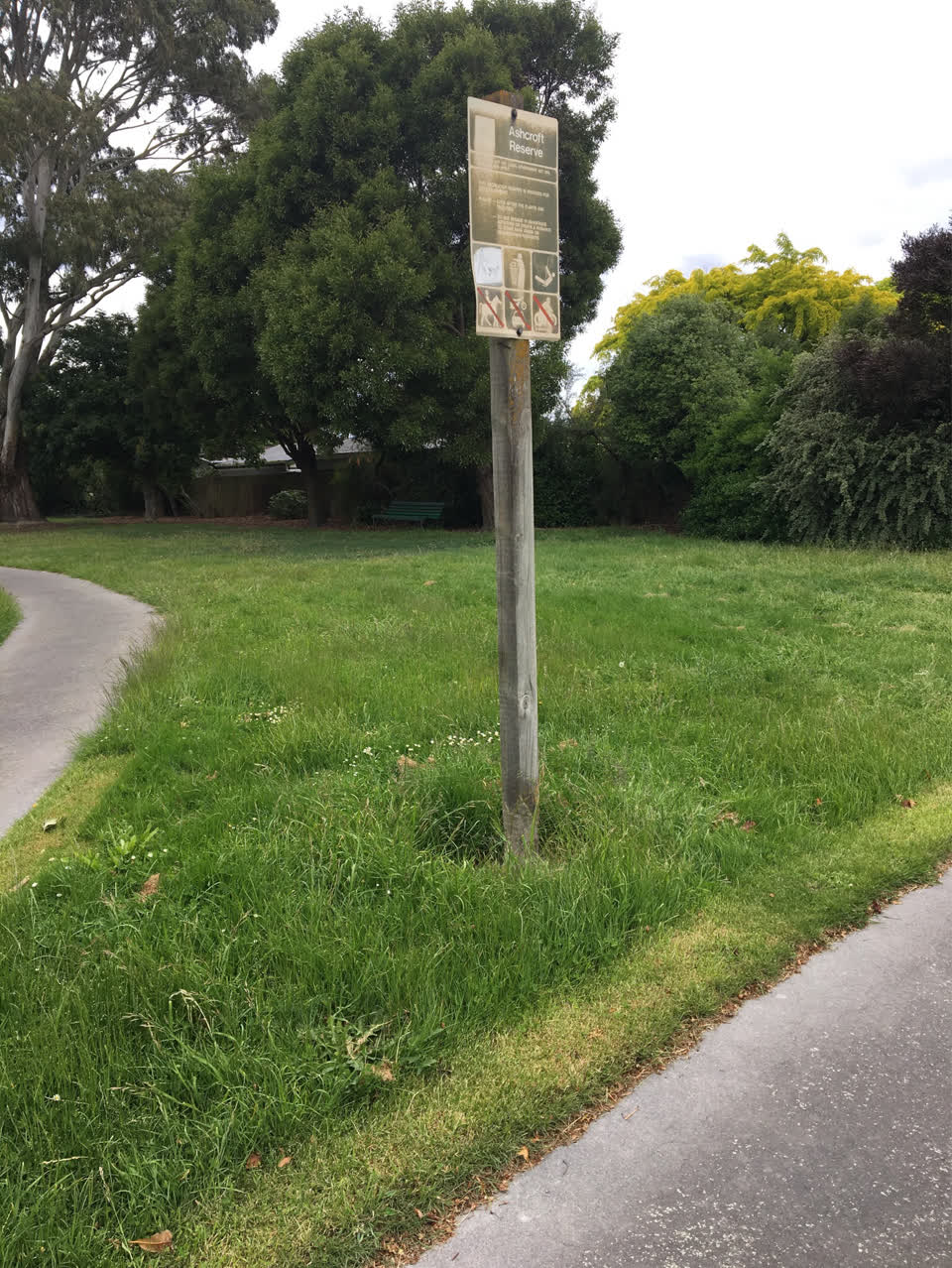 The photograph attached to this parks report