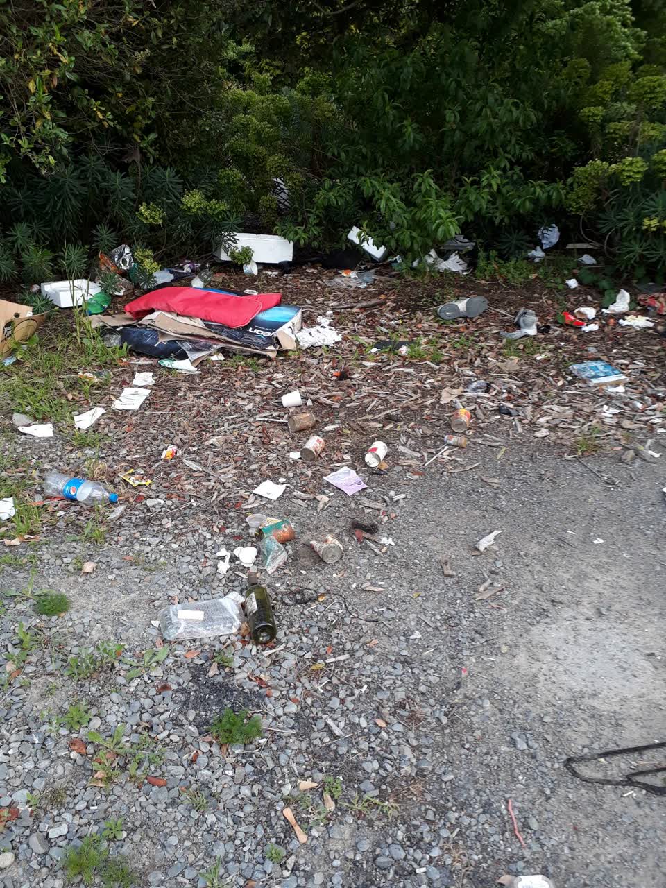 The photograph attached to this rubbish/recycling report