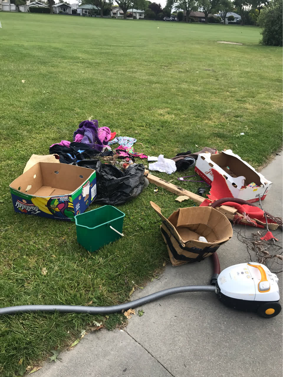 The photograph attached to this parks report