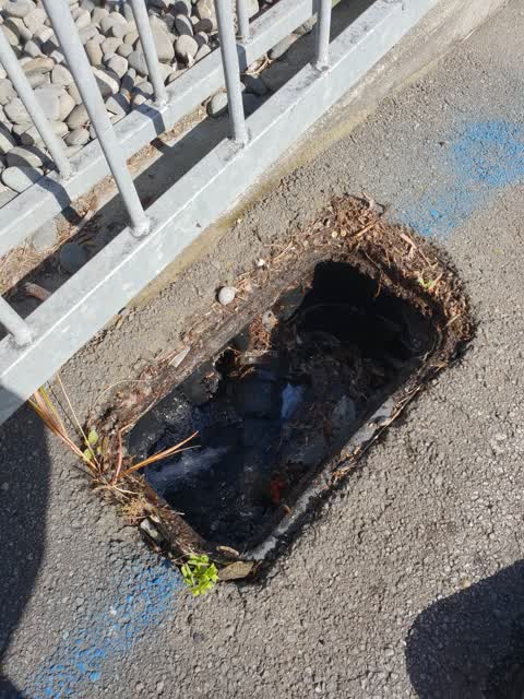 Water Supply, a report photo