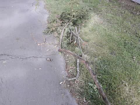 Parks — a report photo