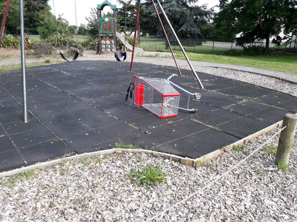 The photograph attached to this parks report