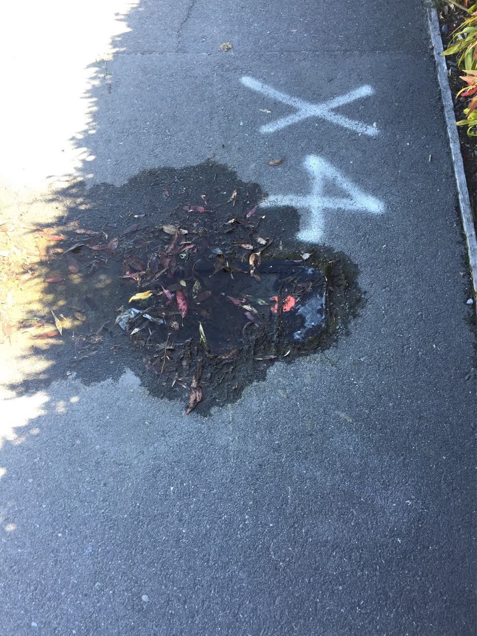 The photograph attached to this water supply report