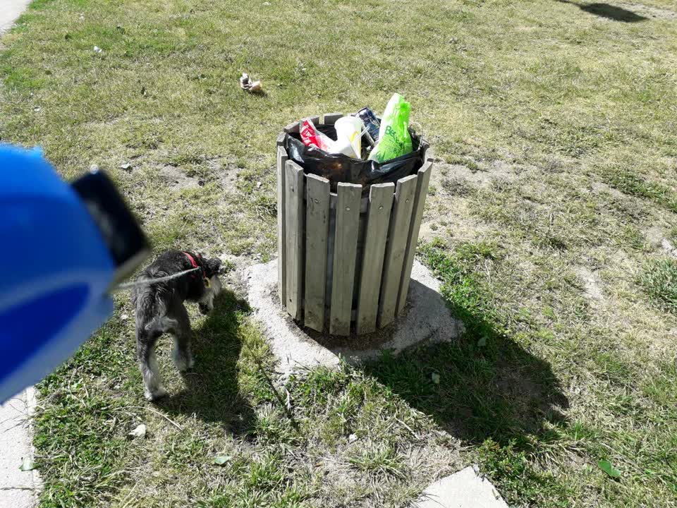 The photograph attached to this rubbish/recycling report