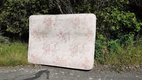 Rubbish/Recycling, a report photo