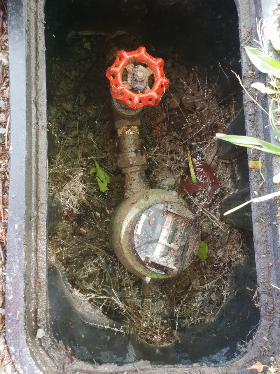The photograph attached to this water supply report