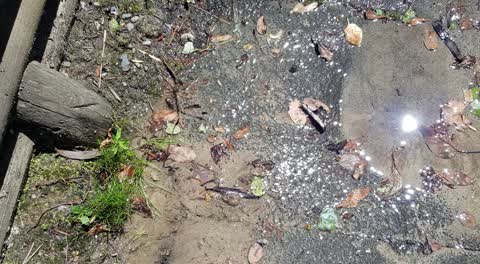 Water Supply, a report photo