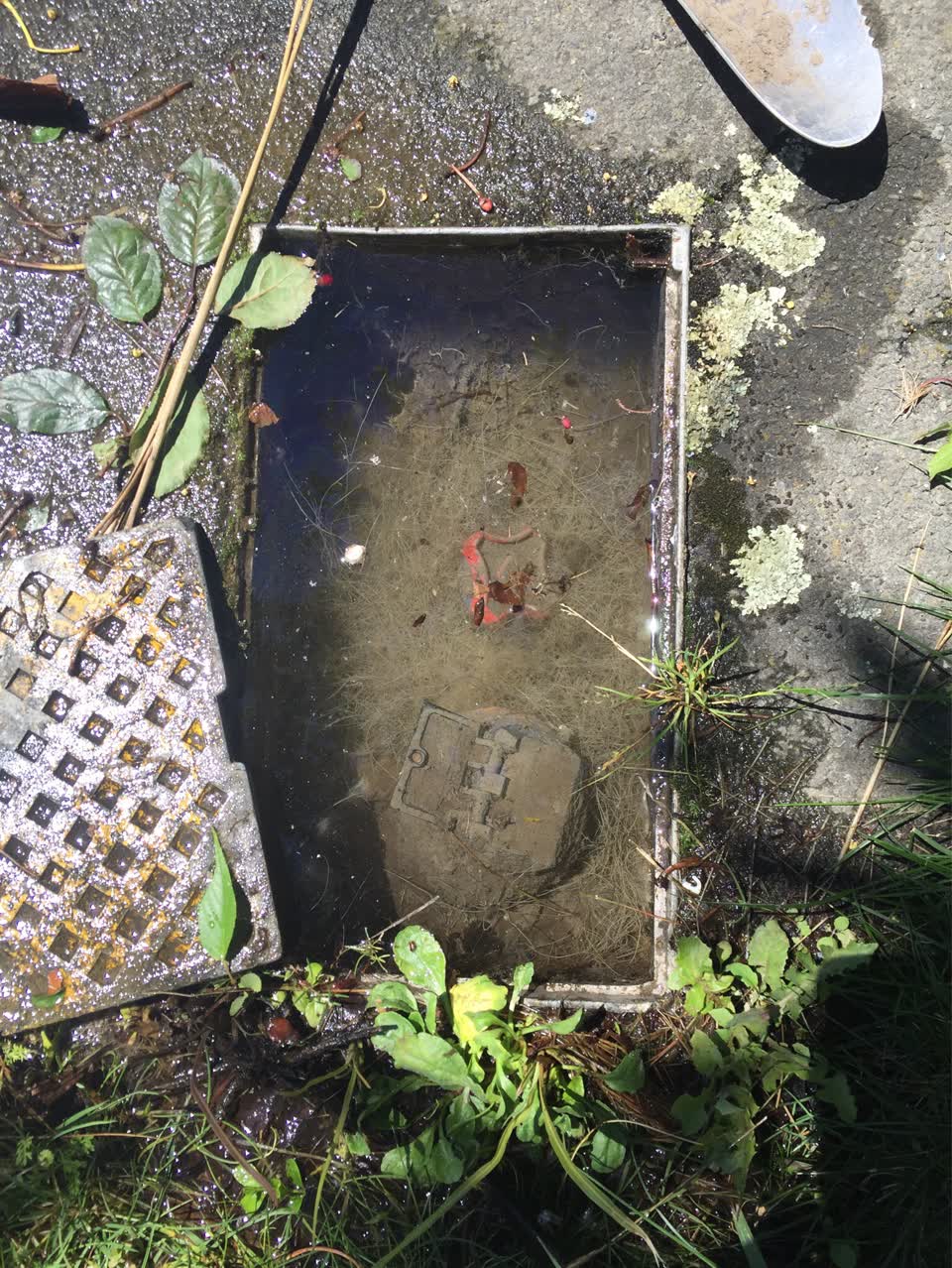 The photograph attached to this water supply report