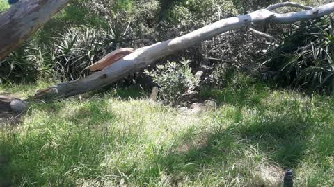 Parks, a report photo
