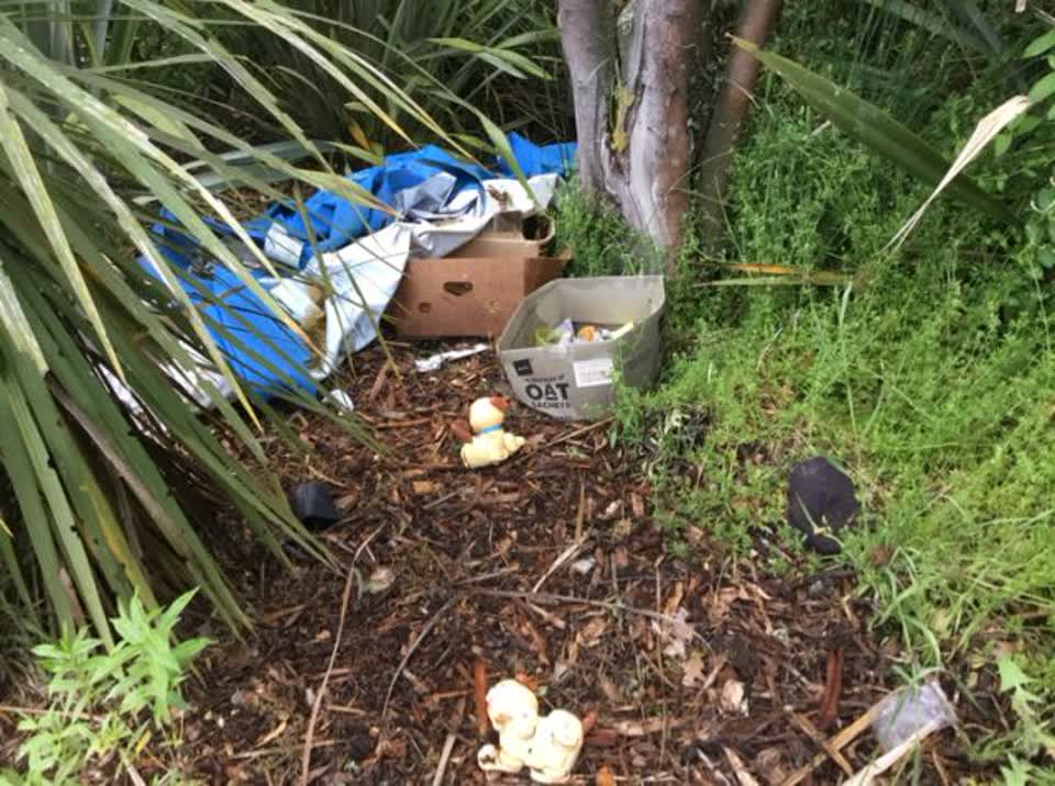 The photograph attached to this rubbish/recycling report