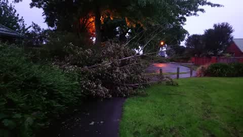 Parks, a report photo