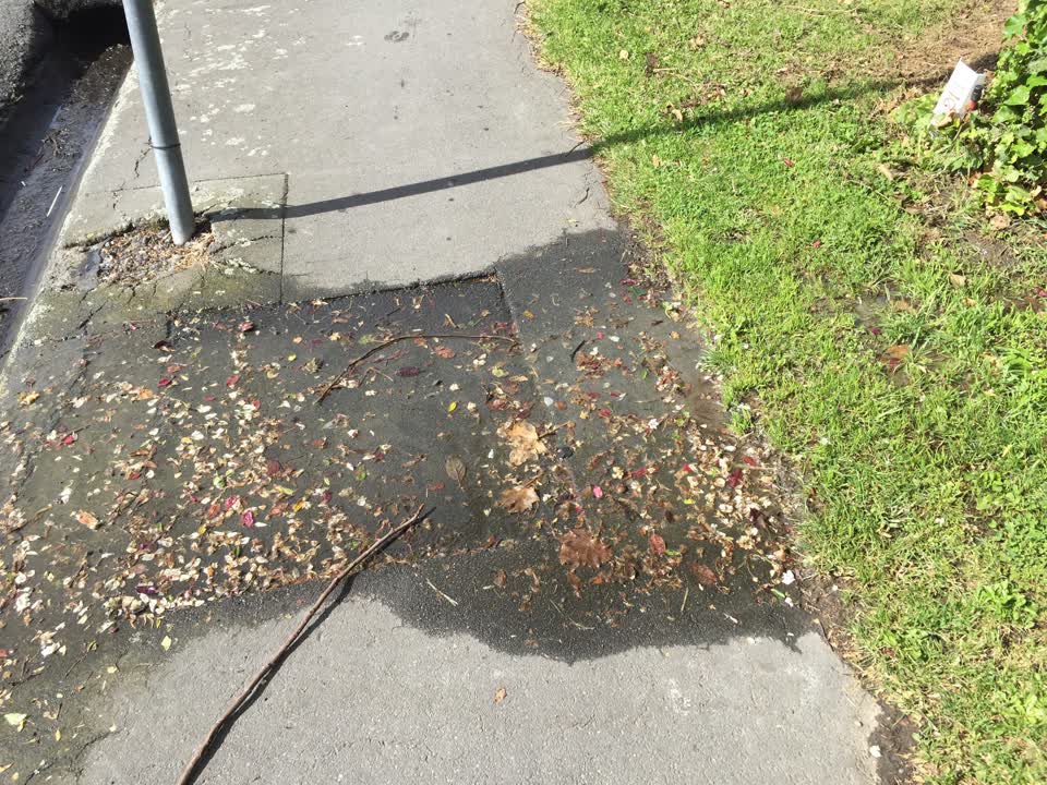 The photograph attached to this water supply report
