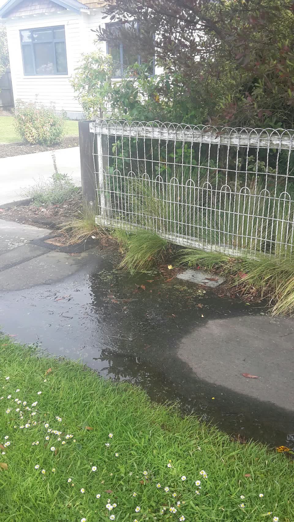 The photograph attached to this water supply report