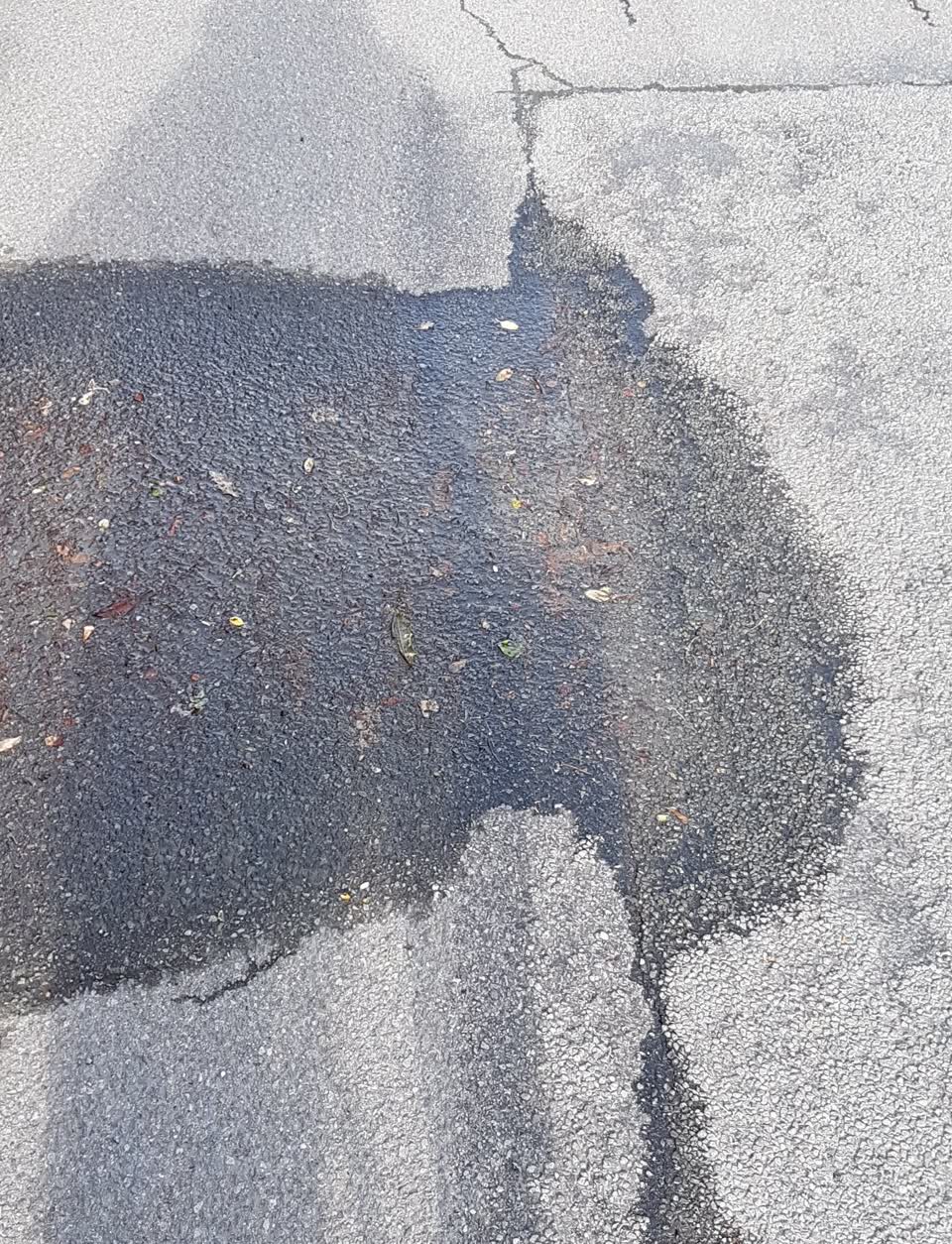 The photograph attached to this water supply report
