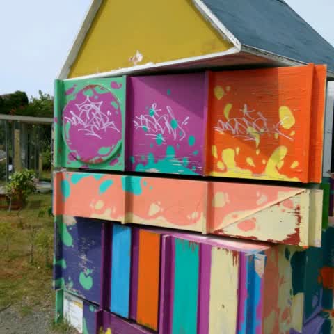 Graffiti, a report photo