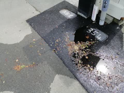 Water Supply, a report photo