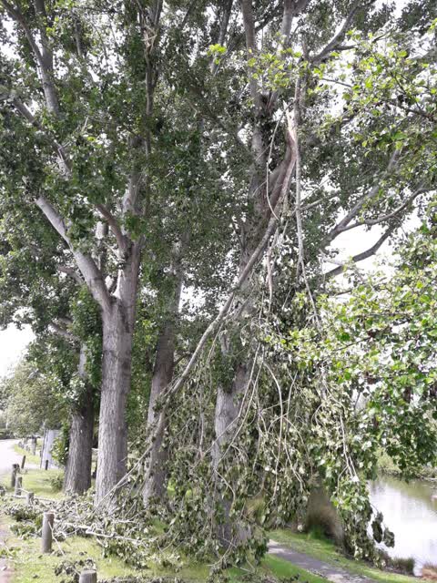 Parks, a report photo