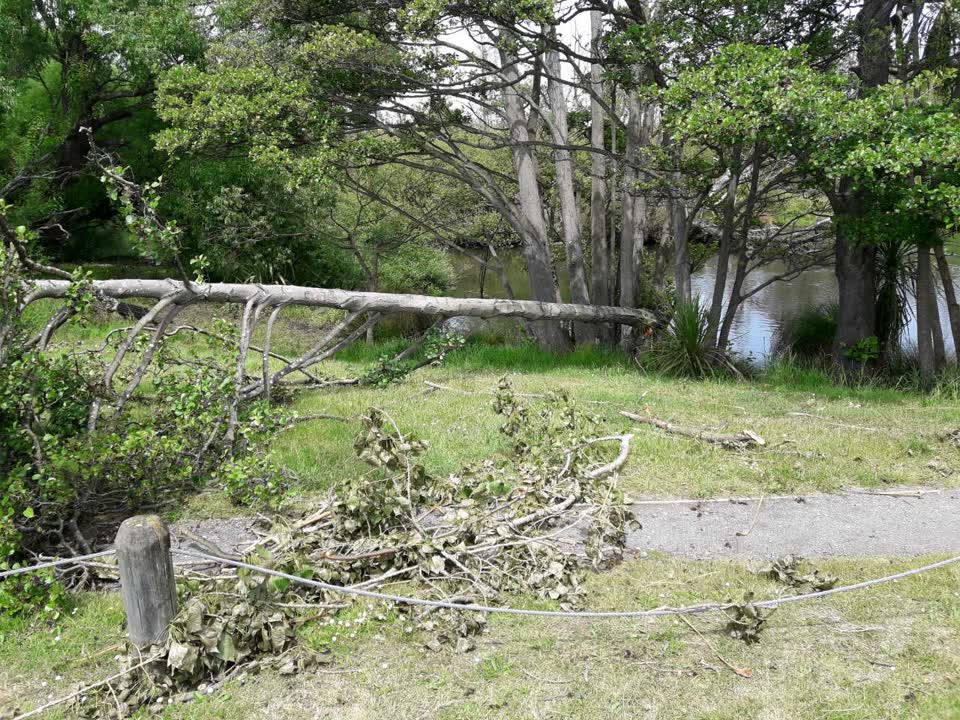 The photograph attached to this parks report