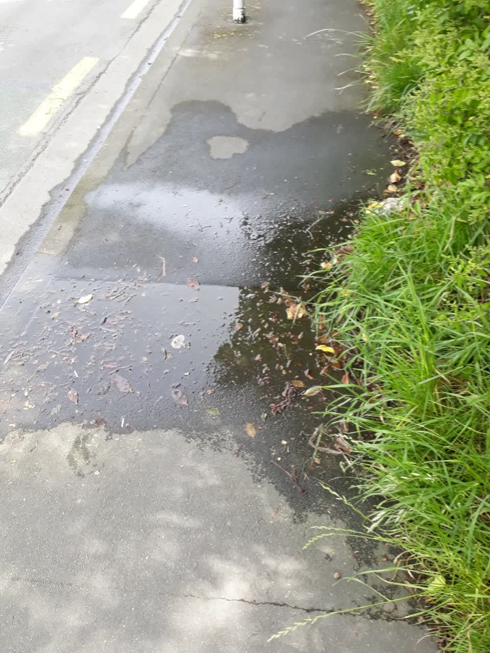 The photograph attached to this water supply report
