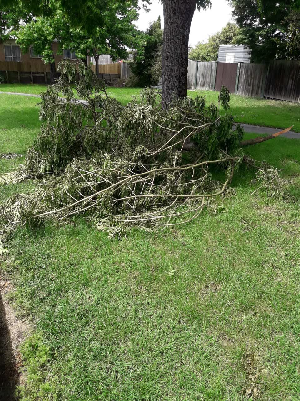 The photograph attached to this parks report