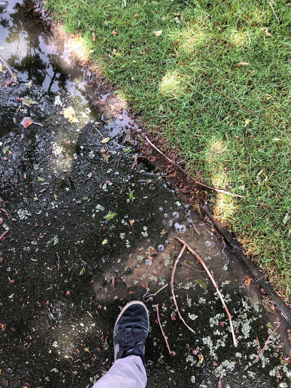 The photograph attached to this wastewater/stormwater report