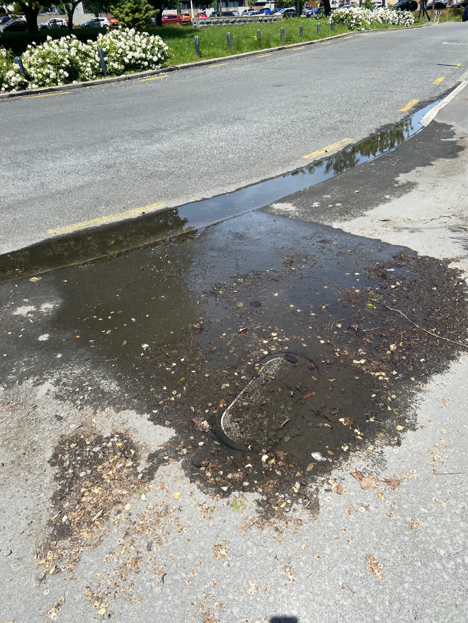 The photograph attached to this roading/streets report