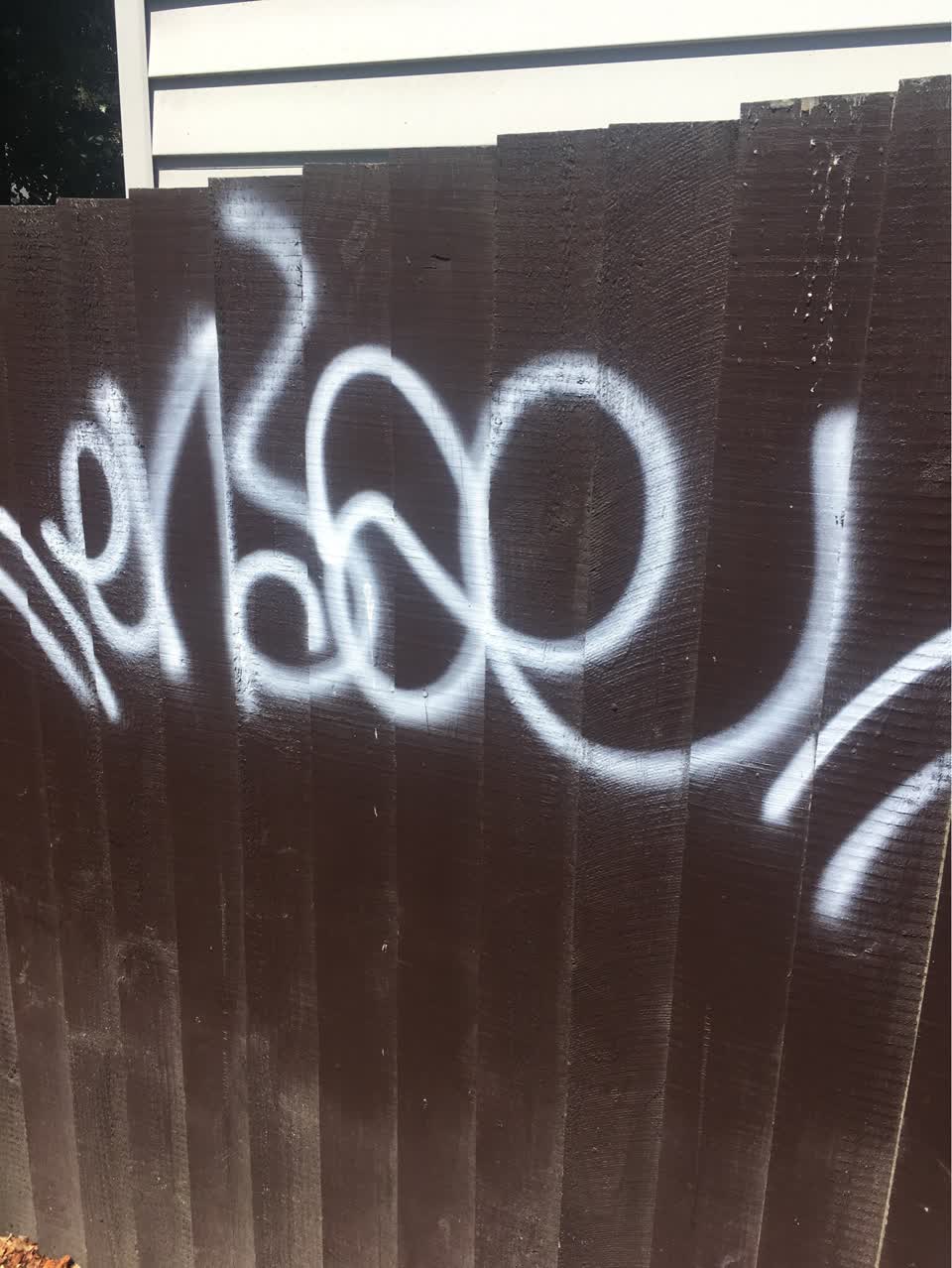 The photograph attached to this graffiti report