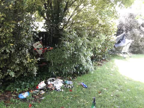 Parks, a report photo