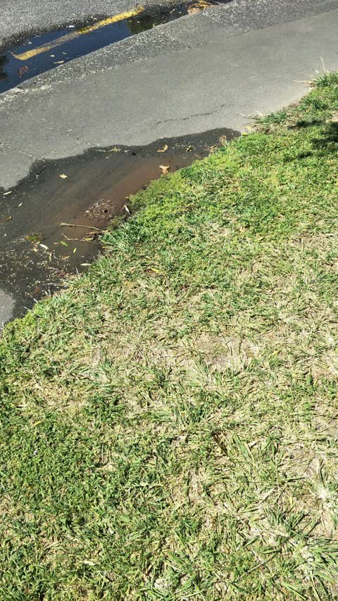Water Supply, a report photo