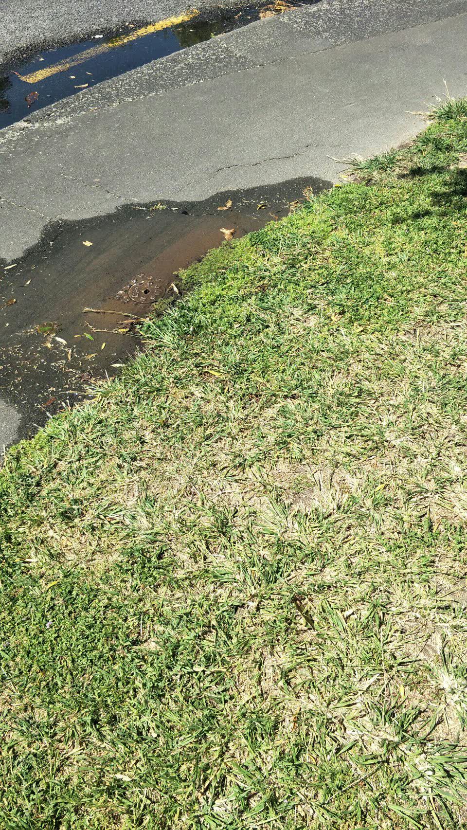 The photograph attached to this water supply report