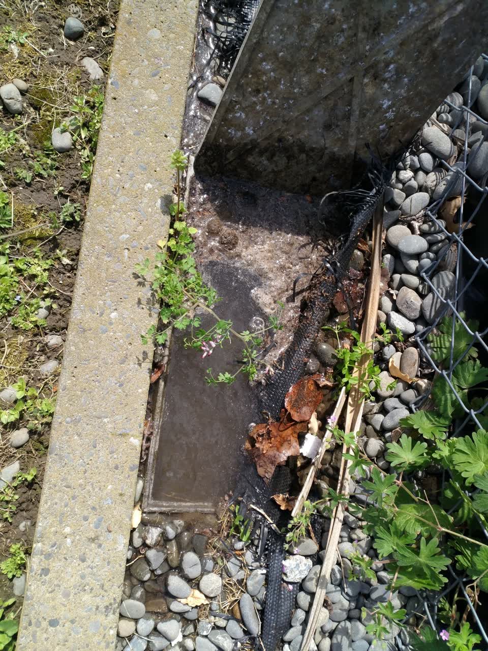 The photograph attached to this water supply report