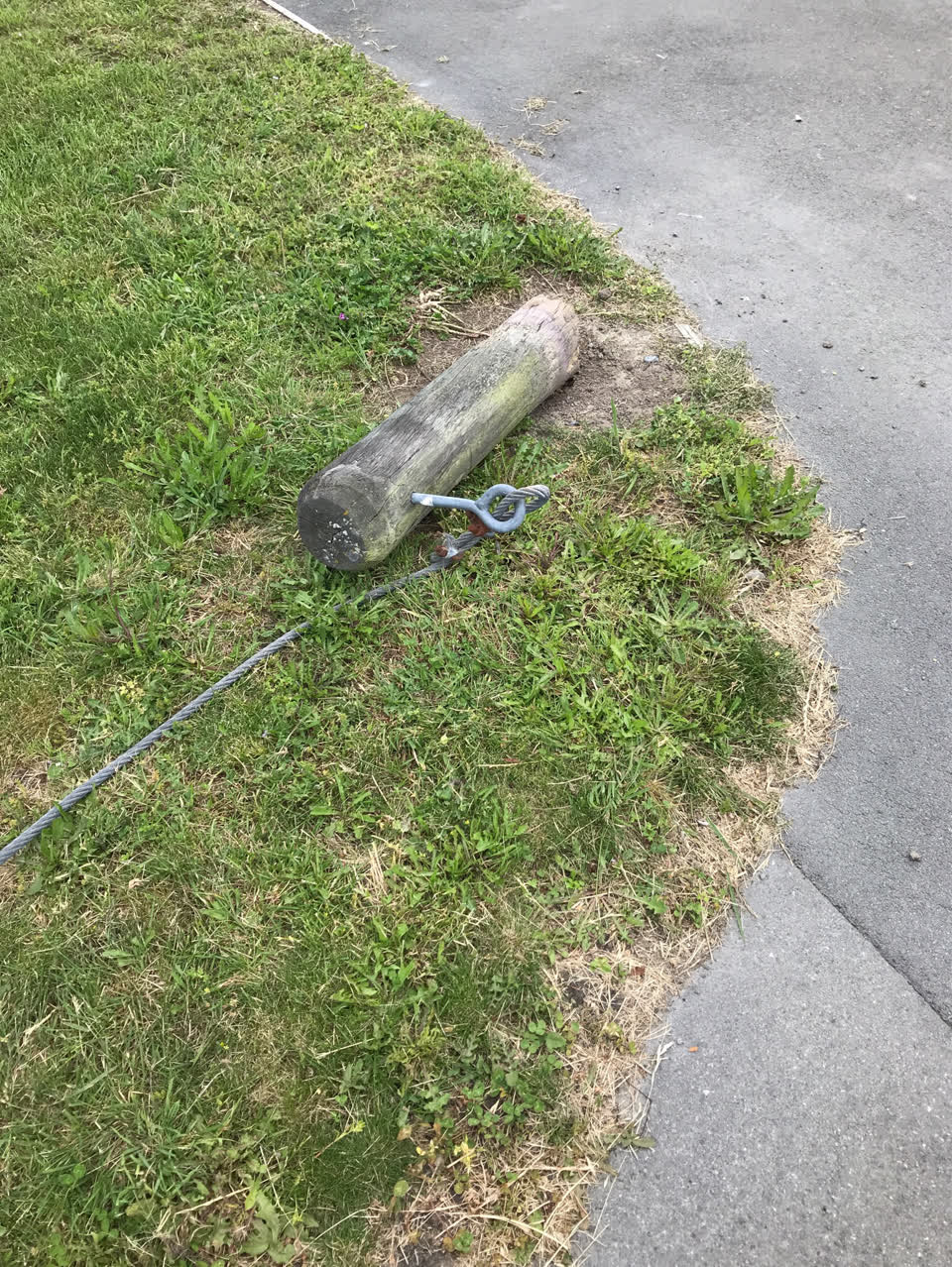 The photograph attached to this parks report