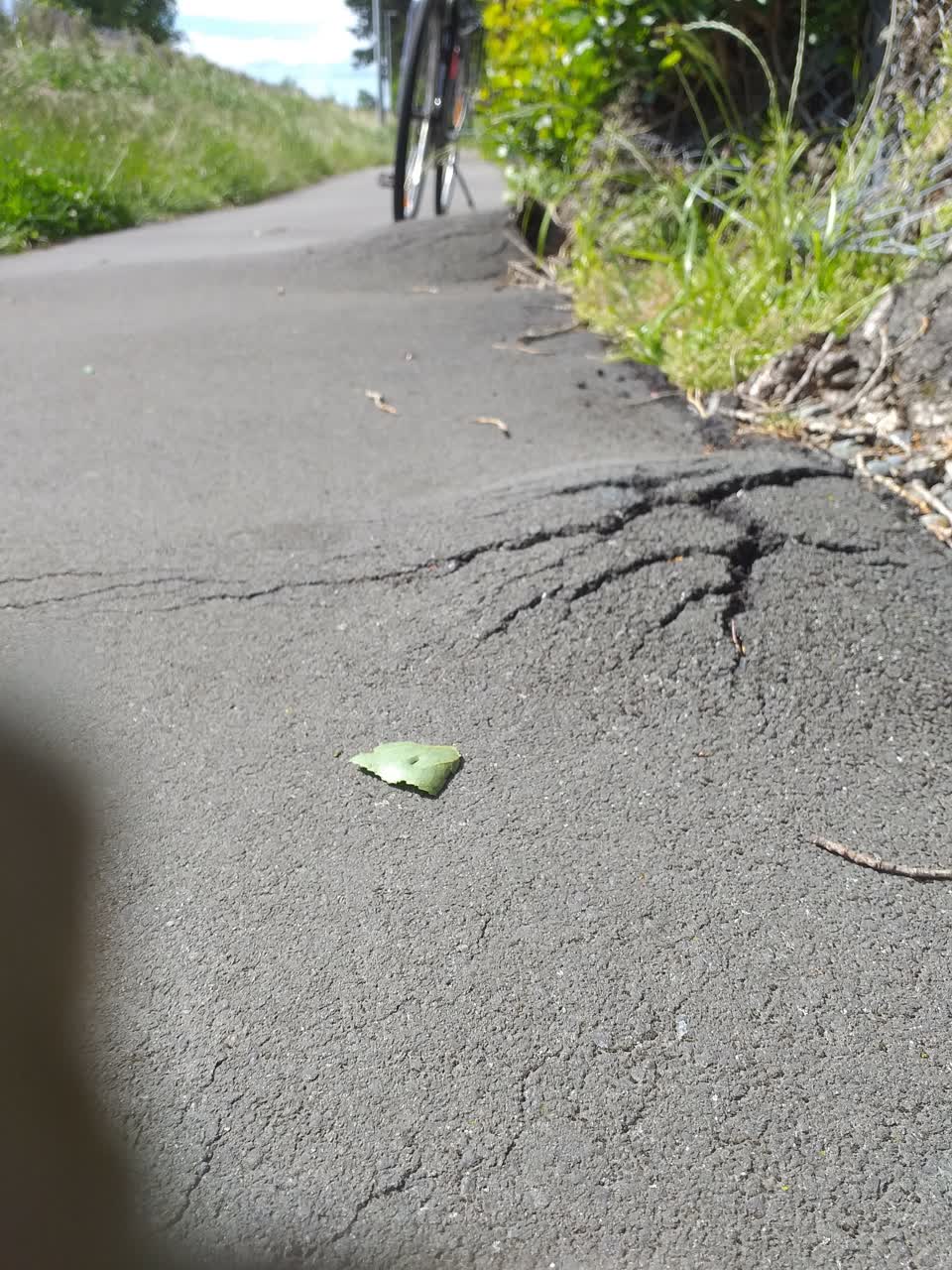The photograph attached to this roading/streets report