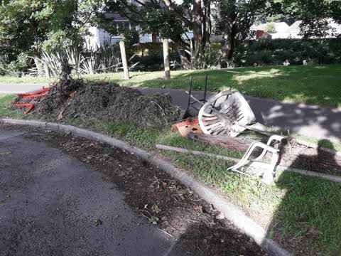 Parks, a report photo