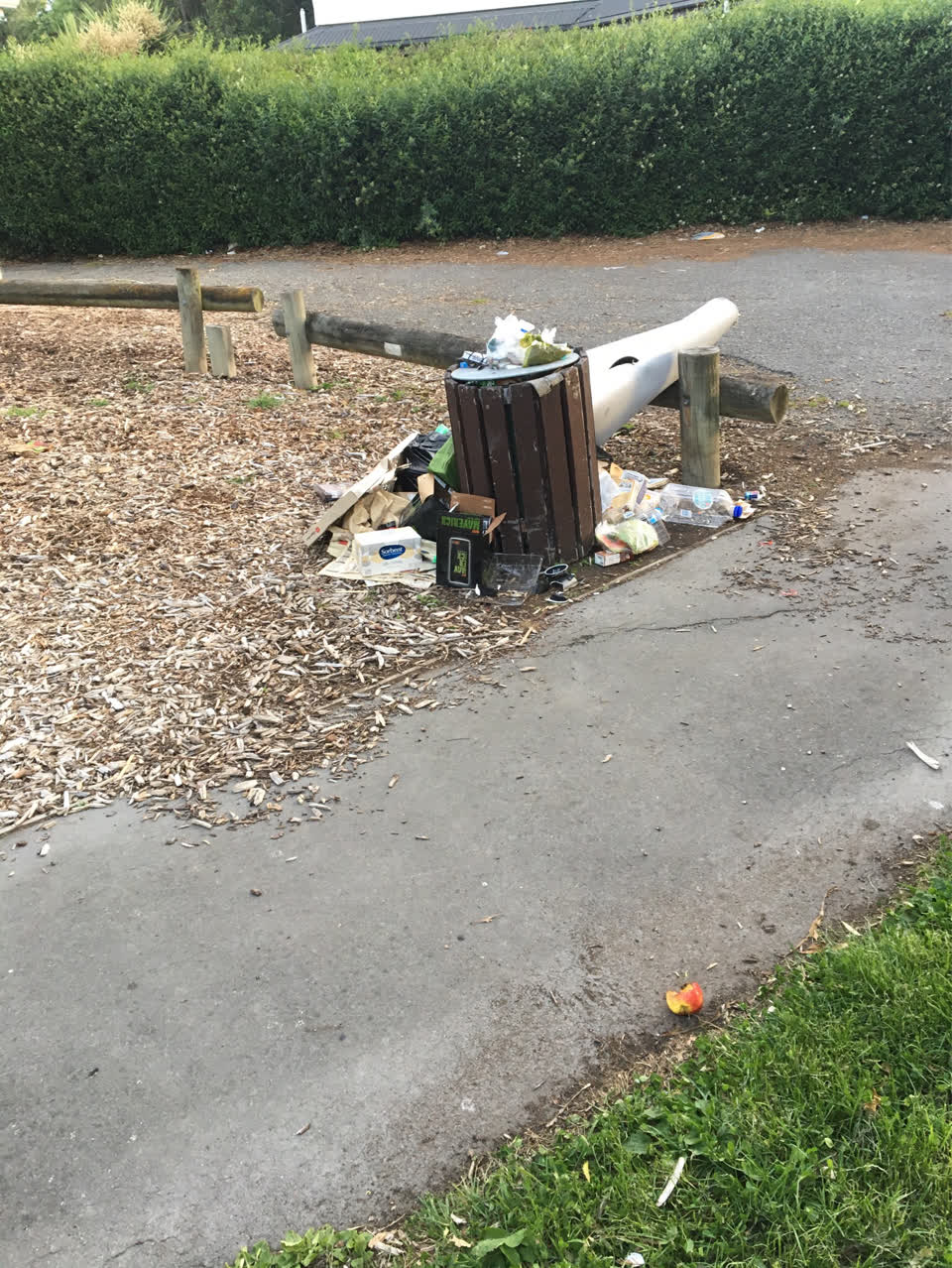 The photograph attached to this rubbish/recycling report