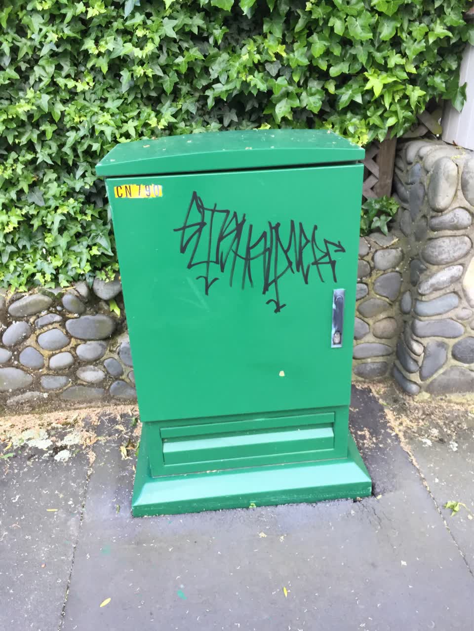 The photograph attached to this graffiti report