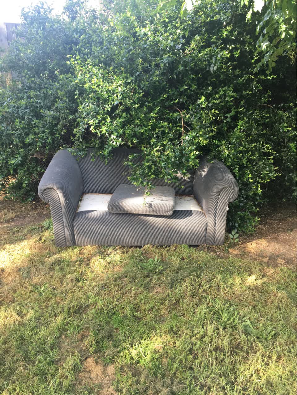 The photograph attached to this parks report