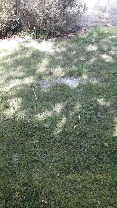 Water Supply, a report photo