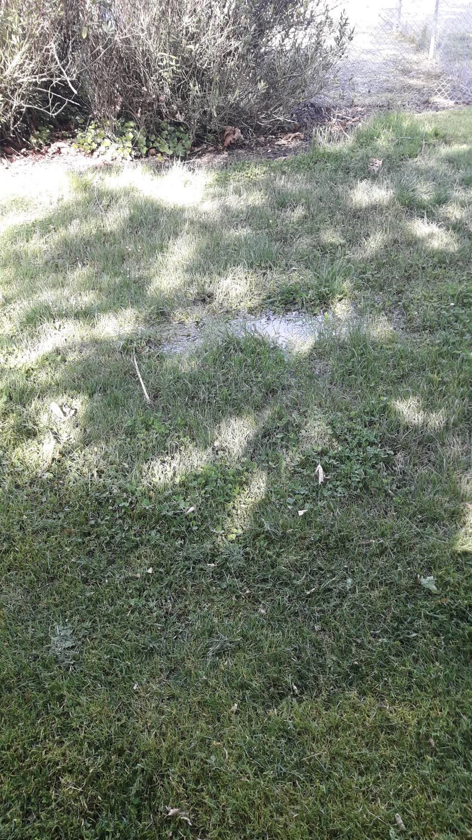 The photograph attached to this water supply report