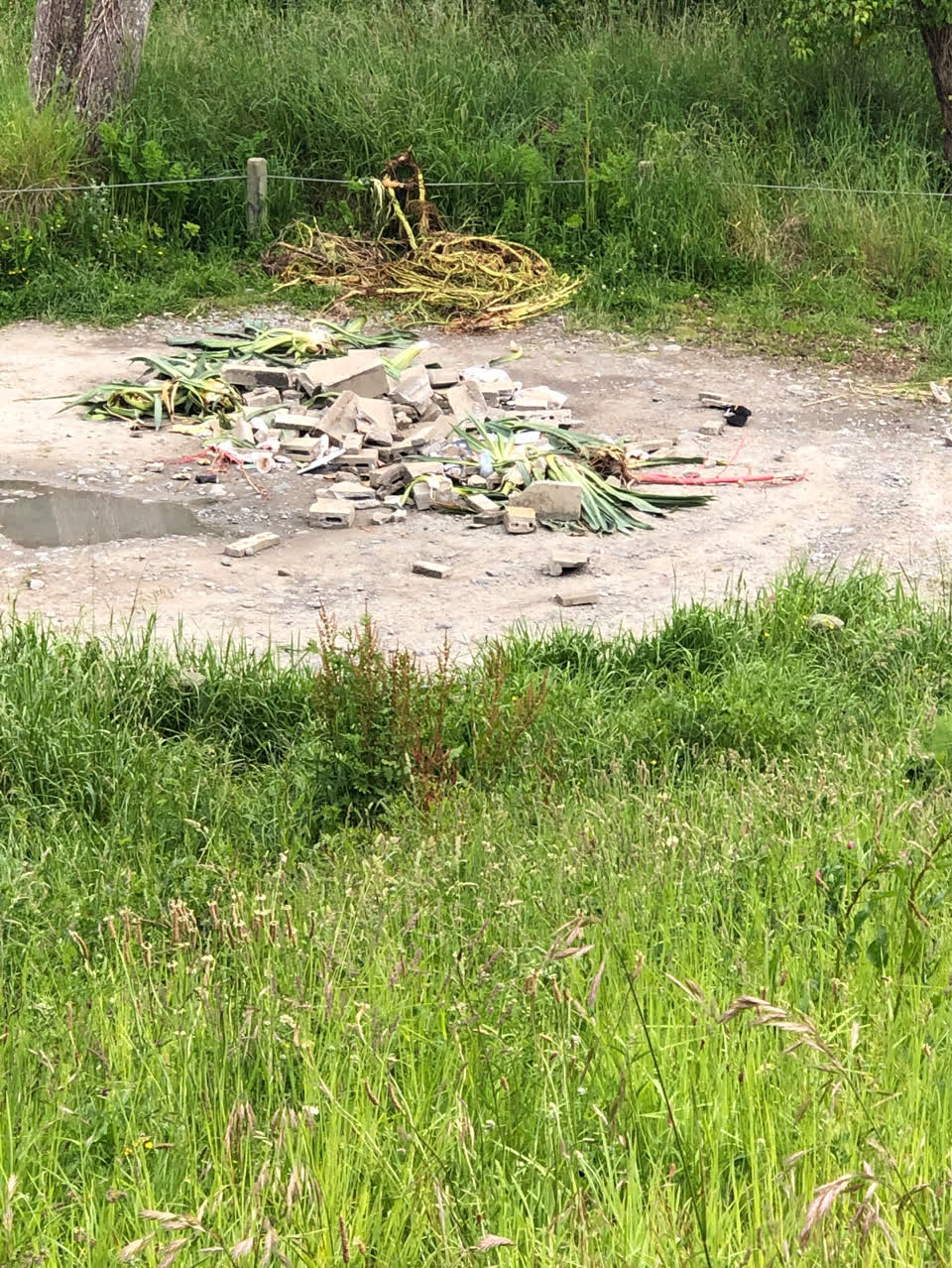 The photograph attached to this parks report