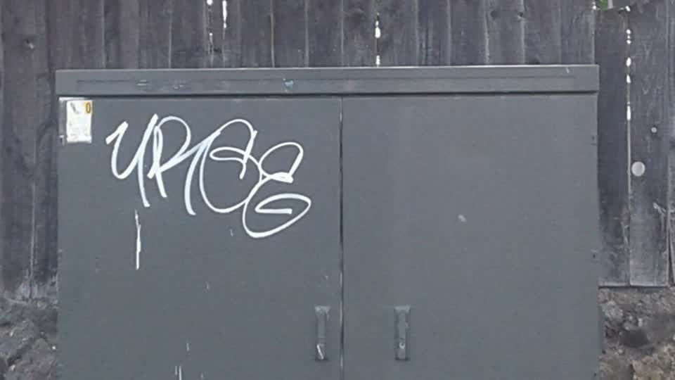 The photograph attached to this graffiti report