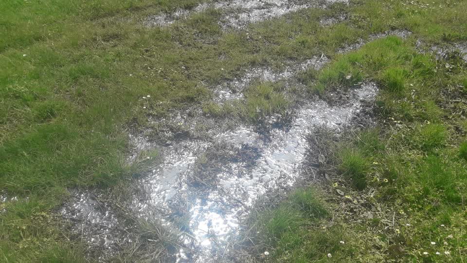 The photograph attached to this parks report