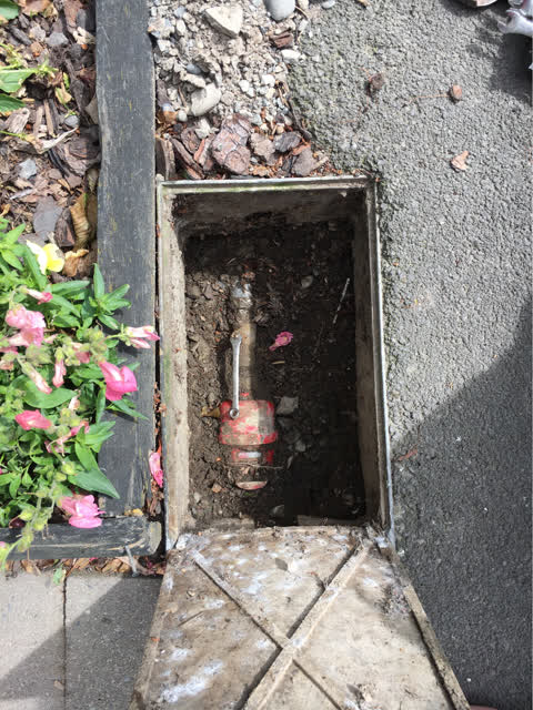 Water Supply, a report photo