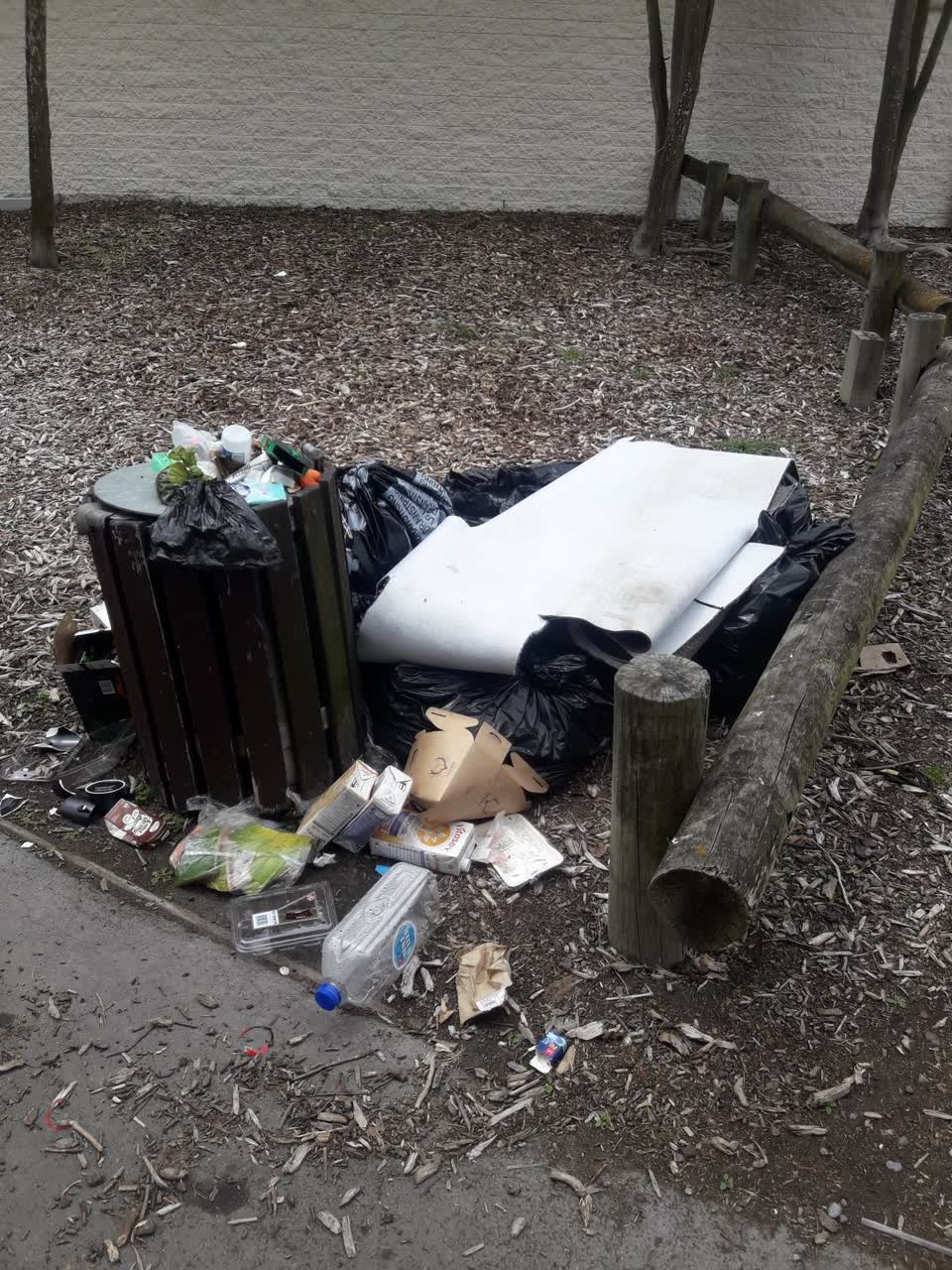 The photograph attached to this parks report