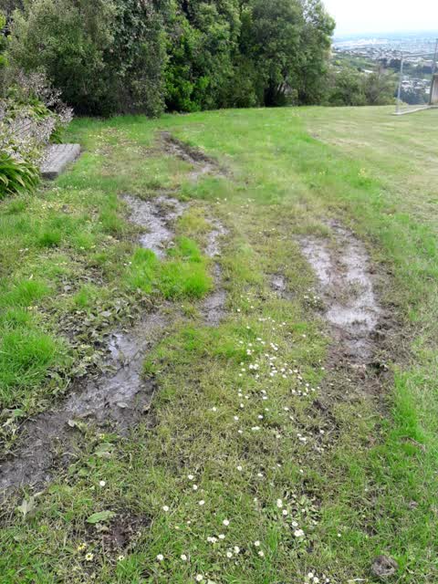 Parks — a report photo