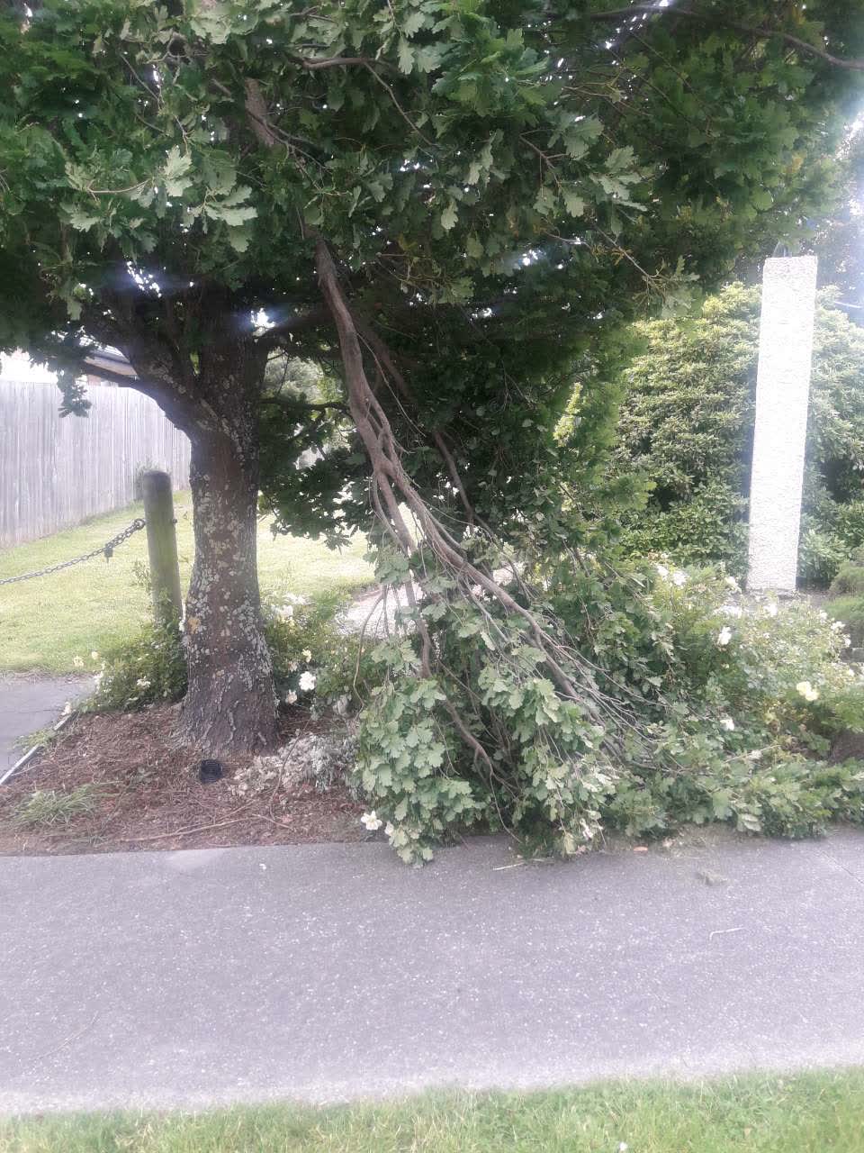 The photograph attached to this parks report