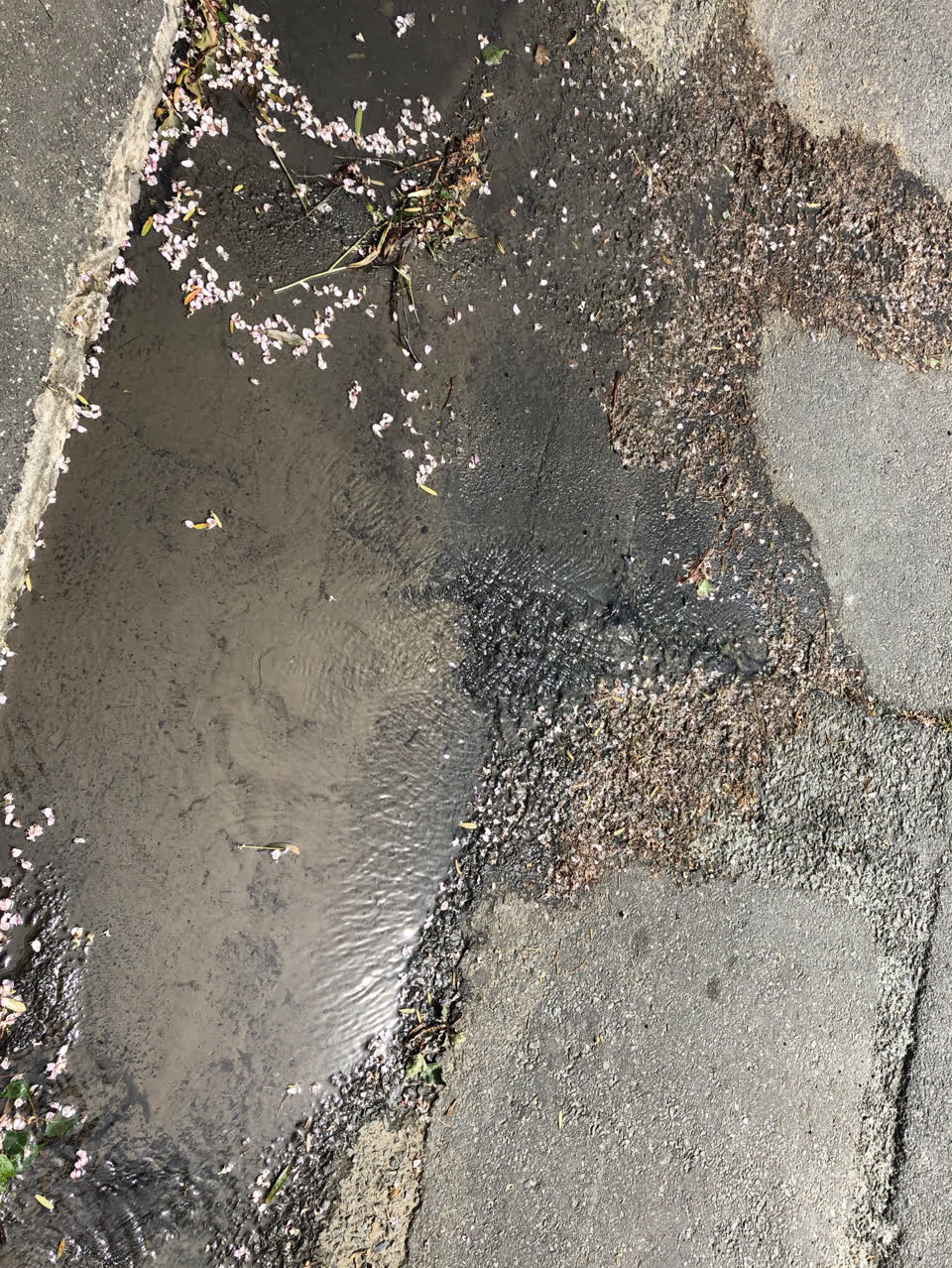 The photograph attached to this water supply report