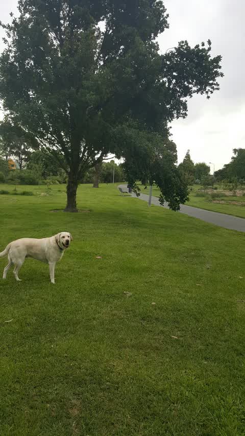 Parks, a report photo