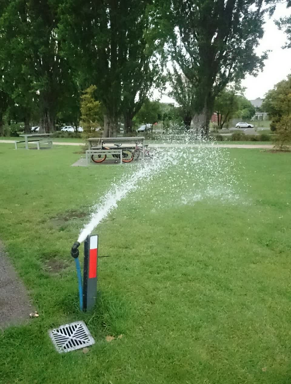 The photograph attached to this parks report